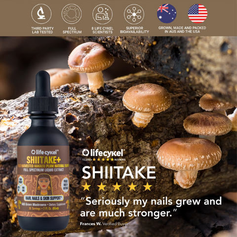 Life Cykel Shiitake+ Liquid Double Extract