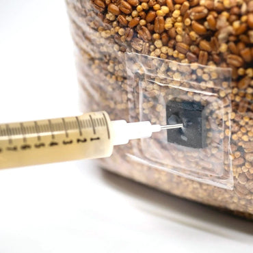 North Spore Max Yield Bins Boomr Bag Monotub Kit