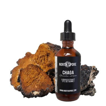 Discover the path to natural equilibrium with our potent dual-extracted Chaga Mushroom Tincture, revered for its innate ability to restore balance.