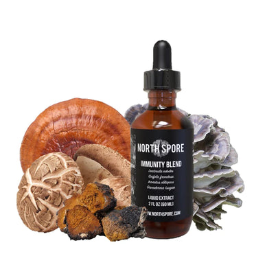 Naturally support optimal immune system function while helping to strengthen the body's natural defenses with our potent, dual-extracted immunity mushroom blend tincture.