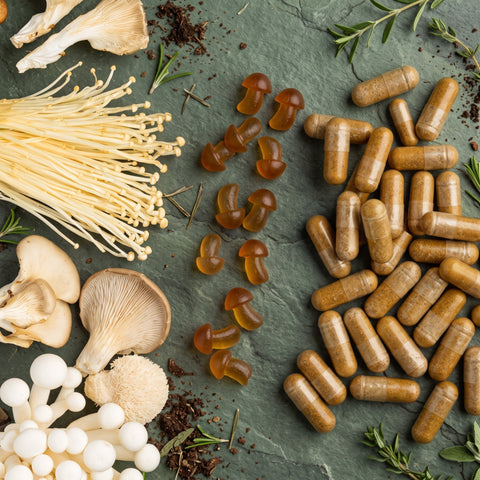 Flat lay of fresh functional mushrooms like lion’s mane, oyster, and enoki next to natural mushroom gummies and herbal capsules on a slate background for daily wellness