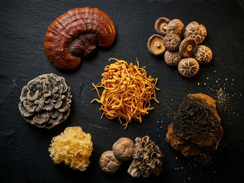 A calm modern wellness scene showing a person preparing a functional mushroom or adaptogen drink in a softly lit kitchen, representing balance, stress support, and nervous system wellness in a hyperconnected world.