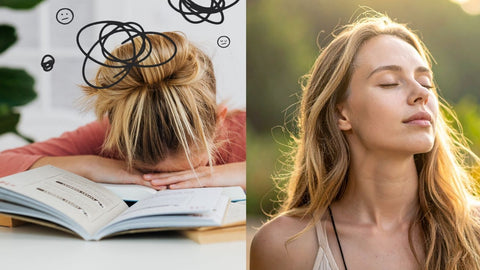 Mental clarity and focus transformation using organic Lions Mane functional mushrooms Alpha Fungi