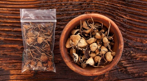 What’s a Microdose? A Beginner’s Guide to Microdosing Mushrooms