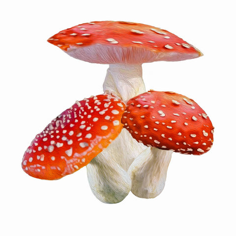 Red Cap