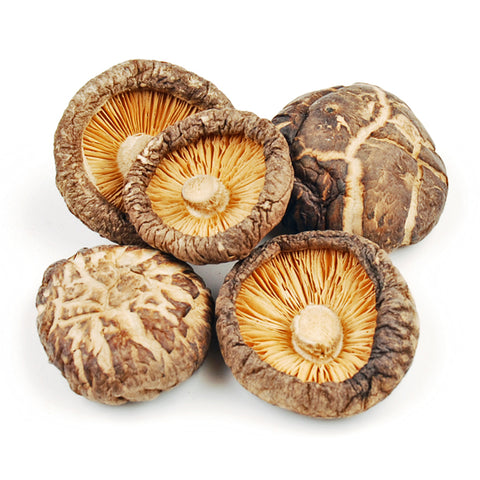 Shiitake mushroom extract dropper bottle on white background
