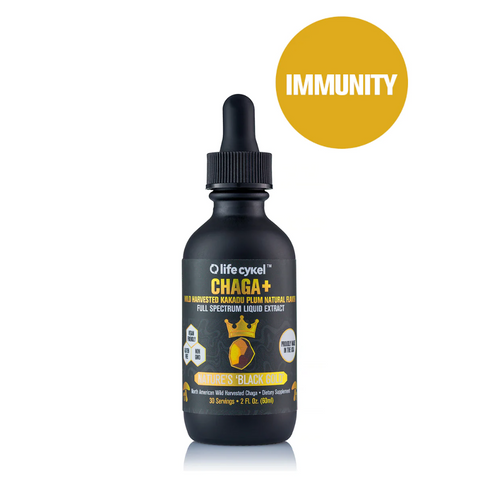 Unearth the potent properties of Chaga, hailed as one of the most revered fungi in existence, owing to its rich reservoir of powerful antioxidants. Boasting an unparalleled antioxidant capacity among functional mushrooms, Chaga brims with vital bioactive compounds like inotodiol and betulin.