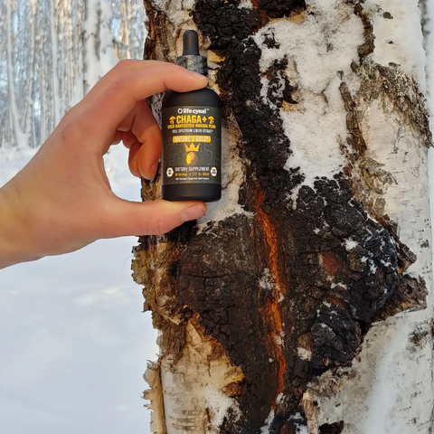 Chaga+ double extract liquid by Life Cykel with kakadu plum
