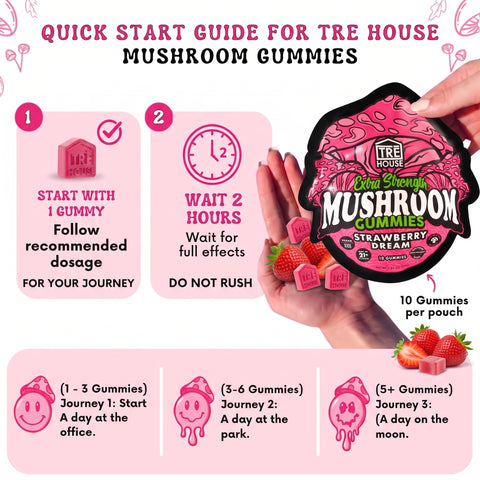 TRE House  Mushroom Gummies Strawberry Dream quick start dosing guide explaining recommended intake and wait times