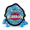 TRĒ House Blue Raspberry ushroom gummies pack