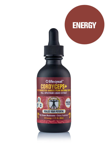 The Cordyceps mushroom is revered for its remarkable benefits: Elevates energy levels* Enhances stamina and endurance* Exhibits potent anti-aging properties*