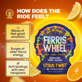 Ferris Wheel Citrus Twist party tablets 2-pack for natural vitality and lifestyle balance.