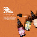 Life Cykel premium functional mushroom extract bottle on dark backdrop