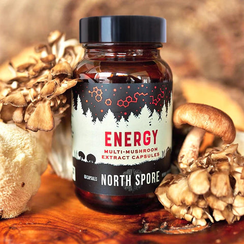 Close-up of vegetarian mushroom energy capsules showing concentrated herbal extract