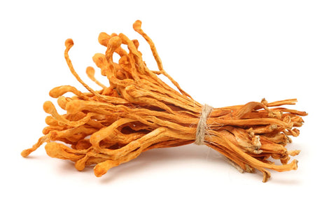 Dried Cordyceps militaris Whole Mushroom Pieces 16oz pouch packaging