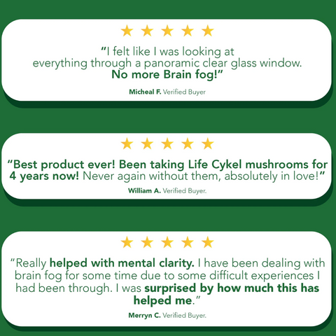 Verified customer reviews card for Life Cykel functional mushroom extracts