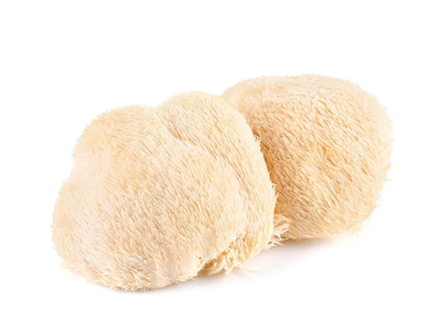 Organic Lion's Mane whole fruiting body mushroom powder pouch packaging