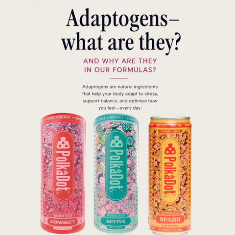 PolkaDot Revive functional mushroom seltzer featured in the complete adaptogenic recovery and wellness drink lineup Alpha Fungi