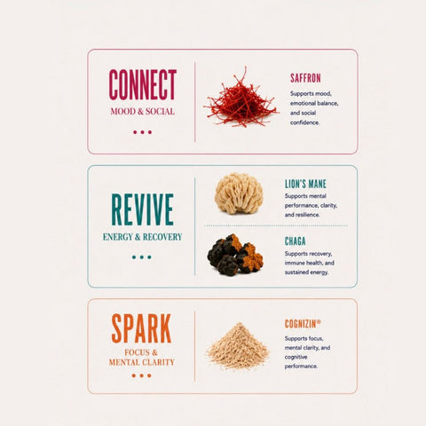 Formula comparison guide highlighting PolkaDot Connect ingredients for mood lift and social ease versus Revive and Spark