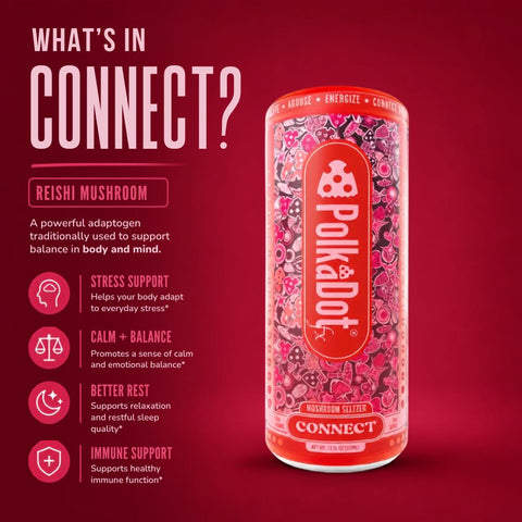PolkaDot Connect Adaptogenic Mushroom Seltzer can with key ingredients and benefits infographic Alpha Fungi