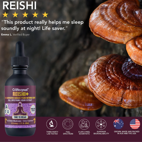Fresh functional mushrooms alongside Life Cykel liquid extract dropper bottle
