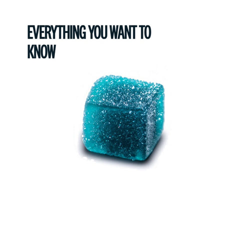 Single sugar-coated blue raspberry Road Trip mushroom gummy cube with product information layout