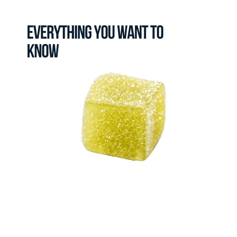 road-trip-pineapple-mushroom-gummy-cube.jpg