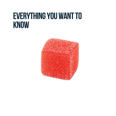 Single sugar-coated strawberry Road Trip mushroom gummy cube with product information Alpha Fungi