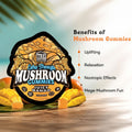 TRE House Extra Strength Mushroom Gummies Juicy Mango benefits overview featuring uplifting sensations and natural wellness effects