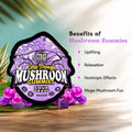 TRE House Extra Strength Mushroom Gummies Sour Grape benefits chart highlighting relaxation, mood elevation, and nootropic blend