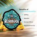 TRE House Extra Strength Mushroom Gummies Sour Tropical key benefits guide with nootropic effects and mood support