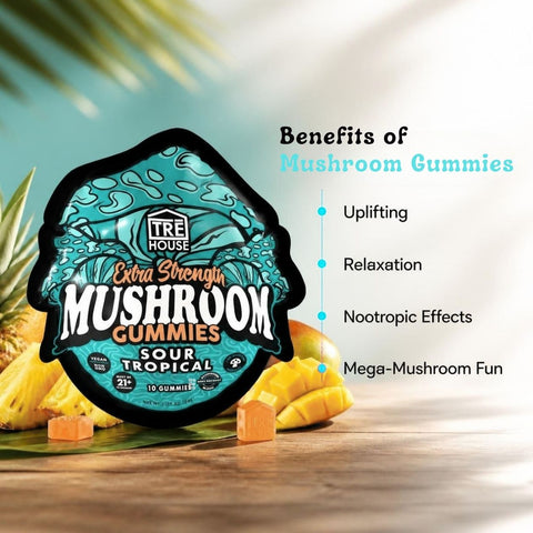 TRE House Extra Strength Mushroom Gummies Sour Tropical key benefits guide with nootropic effects and mood support