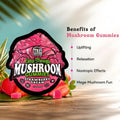 TRE House Extra Strength Mushroom Gummies Strawberry Dream benefits infographic detailing relaxation, calm focus, and mushroom synergy