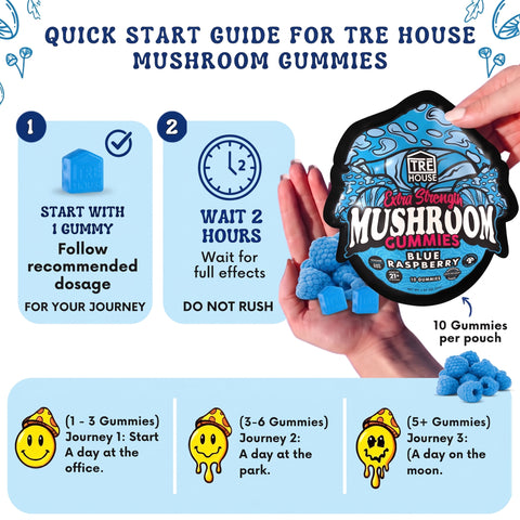TRE House Mushroom Gummies Blue Raspberry quick start guide outlining serving size and step-by-step dosing directions