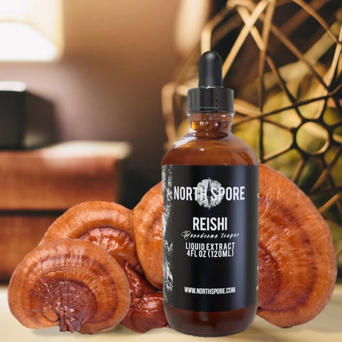 North Spore Reishi mushroom tincture dropper bottle with dried Reishi on wooden table