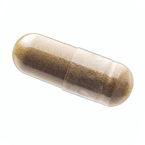High-potency functional mushroom extract capsule on white background