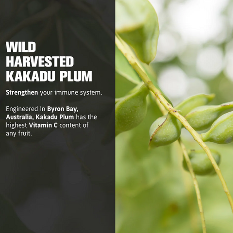 Reishi double liquid extract bottle with wild Kakadu Plum packaging